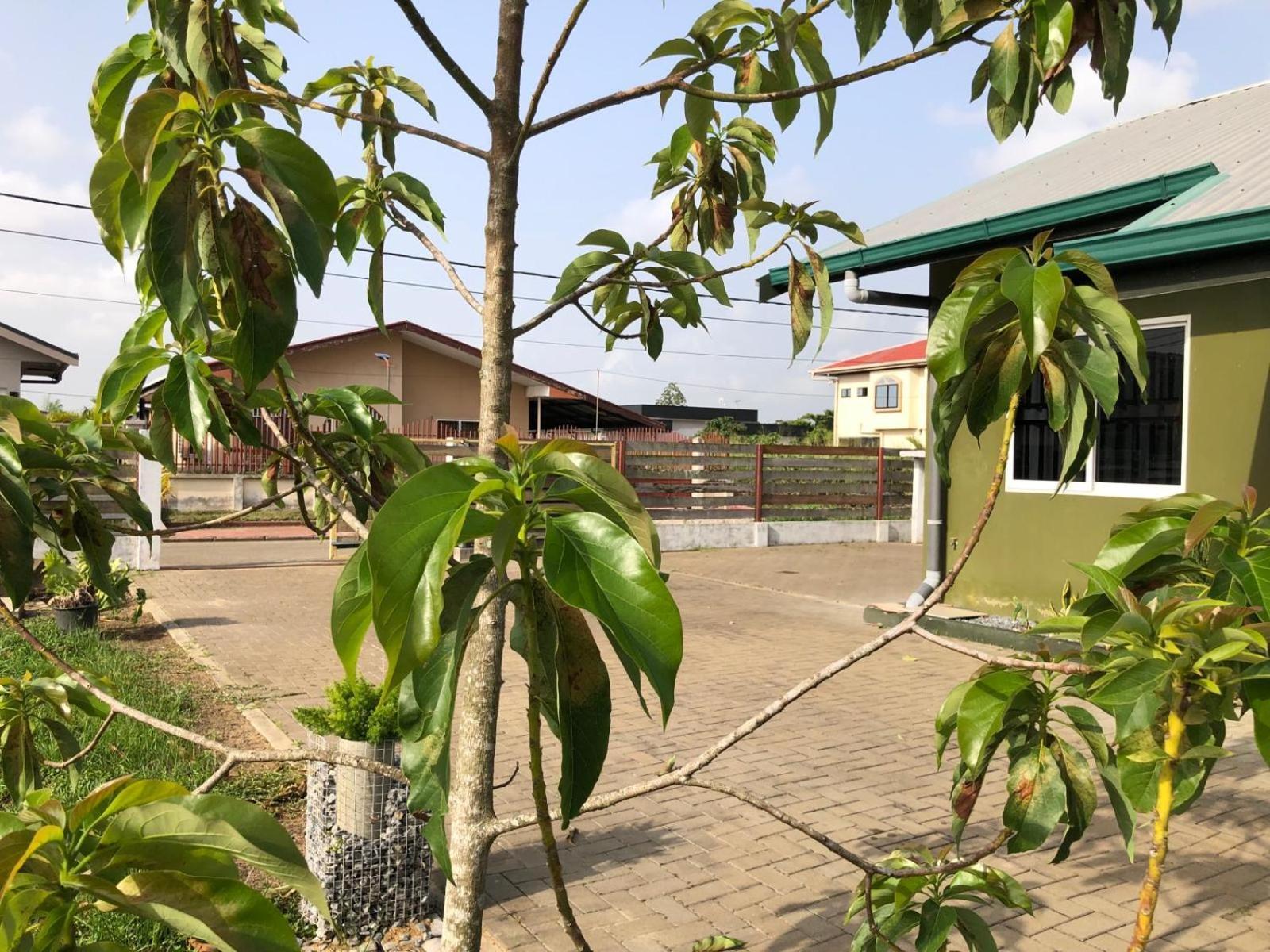 Apartamento Grapefruitstraat Paramaribo Exterior foto
